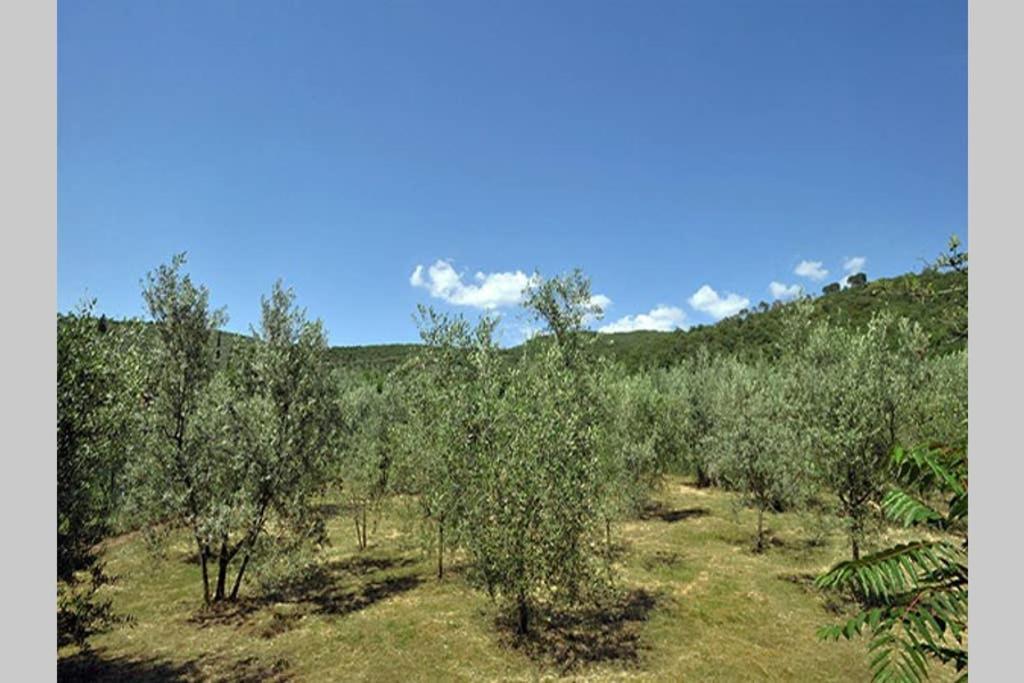 Tuscan Charme Of Cottage Roccaio Countryside Cortona Кастильон-Фьорентино Экстерьер фото